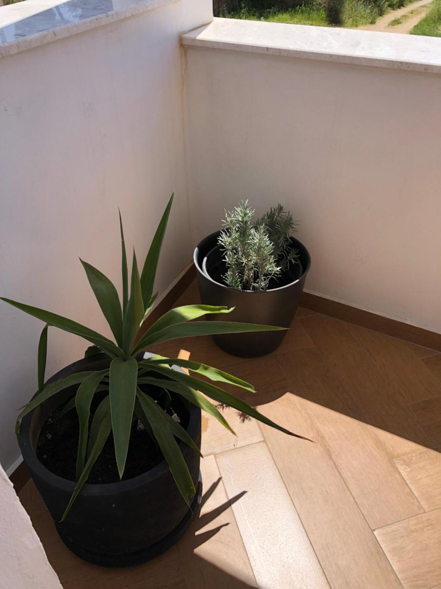 Apartments Lungo Mare אולסינץ' מראה חיצוני תמונה